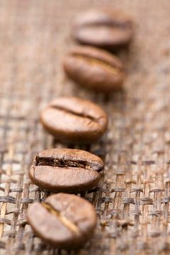 Fünf Kaffeebohnen (Nahaufnahme) von BeeldigBeeld Food & Lifestyle