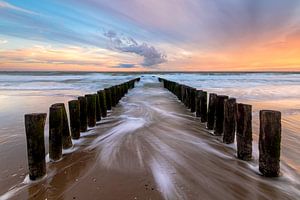 Wet Feet sur Arnoud van de Weerd