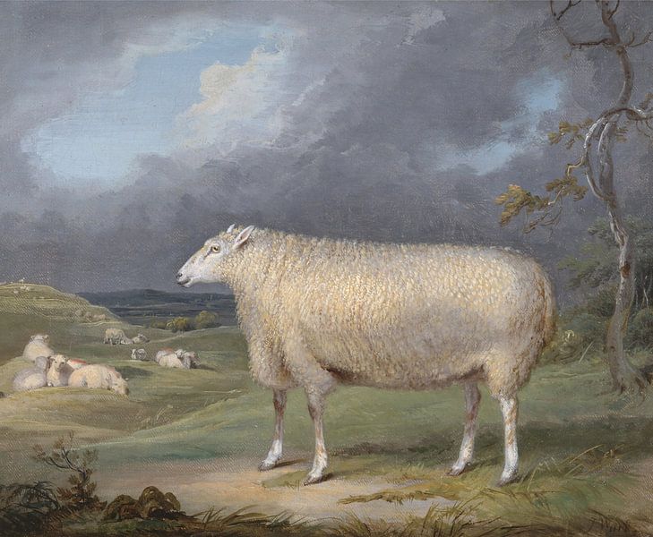 A Border Leicester Ewe, James Ward by Masterful Masters
