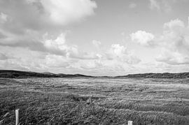 Ansicht von Zeeland