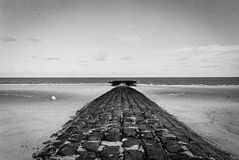 Der Weg ins Meer von Patrik Hochnadel