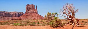 MONUMENT VALLEY Sentinel Mesa & West Mitten Butte