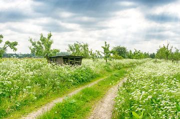 Country road with shed by Mark Bolijn