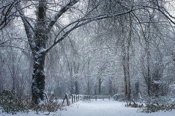 Westerpark in the snow by Ellen Weidenaar