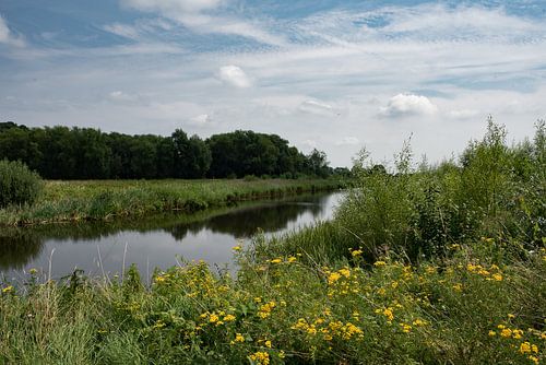 Uiterwaarden Wageningen bij de rijn