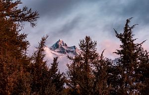 Sunkiss on the Swiss Alps van Mitchell Routs