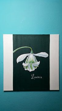 Lavinia by Zehra Arslan