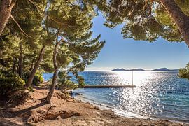 Strand Platja de Formentor, Mallorca von Christian Müringer