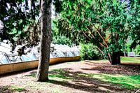 Prague - Serre par les arbres