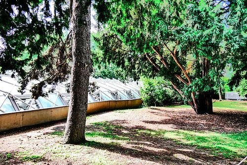 Praag - Kas bij bomen