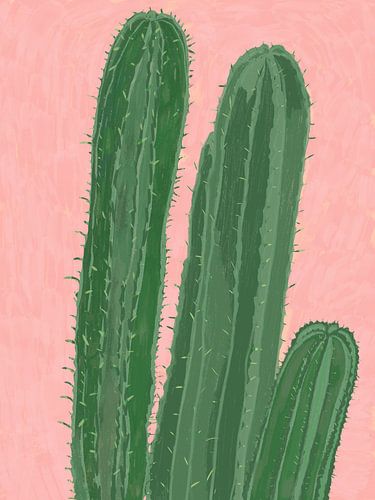 Cactus