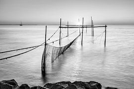 Caught van Rob van der Wal