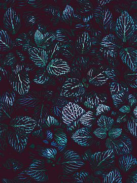 Draufsicht Blätter der Sukkulenten - Illustration mit viel Tiefe von The Art Kroep