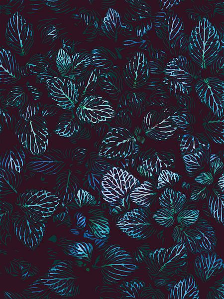 Vue de dessus Feuilles de plantes succulentes - Illustration avec beaucoup de profondeur par The Art Kroep
