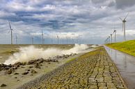 Windturbines aan de oever van het IJsselmeer van Sjoerd van der Wal Fotografie thumbnail