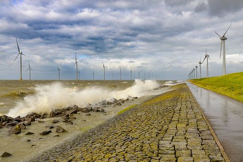 Windturbines aan de oever van het IJsselmeer