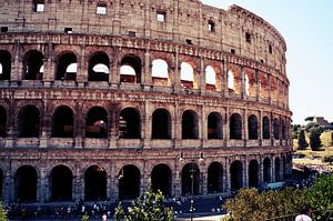 Colosseum Rome by Tiffany Venus