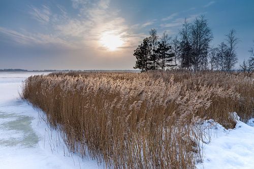 Winter am Bodden bei Wiek