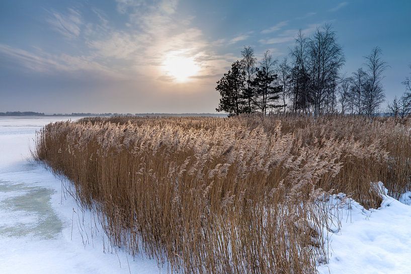 Winter am Bodden bei Wiek van Rico Ködder