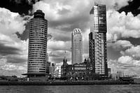 Rotterdam vanaf het water (Kop van Zuid)