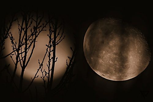 #5 Moon - Fully sharp & blurred