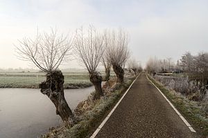 Paysage de polder gelé avec fossé et saules têtards et route agricole aux Pays-Bas