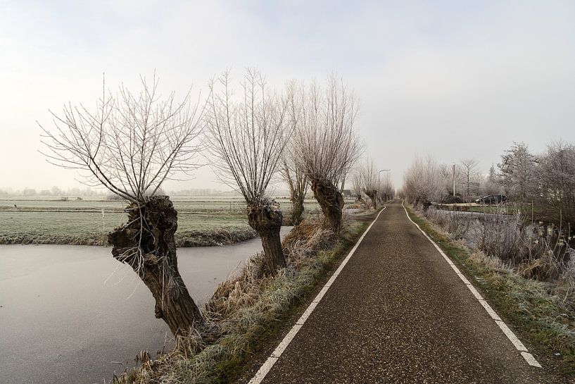 Gefrorene Polderlandschaft mit Graben und Kopfweiden und einem Wirtschaftsweg in den Niederlanden von Leoniek van der Vliet