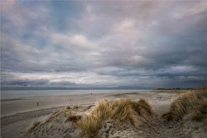 Alleen op het strand