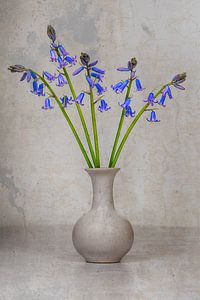 Wilde hyacinten in vaas sur Elles Rijsdijk