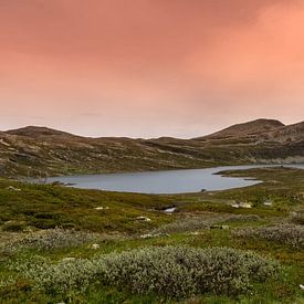 Gaustatoppen - Norvège sur Evy De Wit