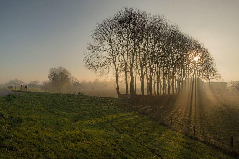 Zonneharpen by Moetwil en van Dijk - Fotografie