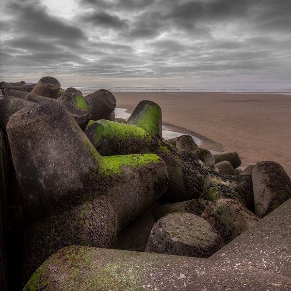 Tetrapods van Ronald Smeets Photography