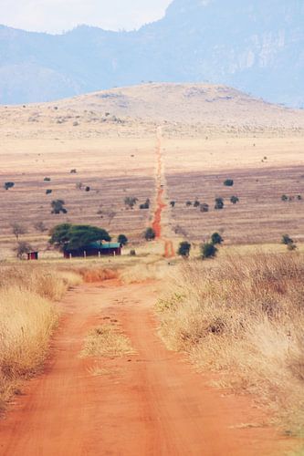 Lang, Rood Pad sur Cinthia Mulders