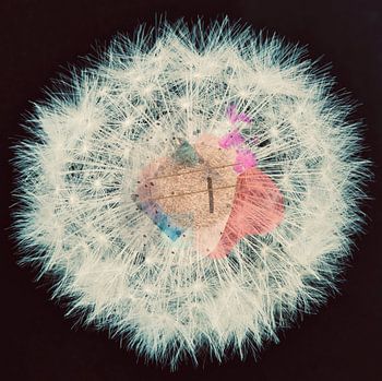 Pusteblume des Lebens 4