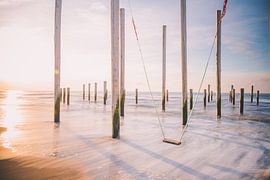 Palendorp Petten sur Thomas Paardekooper