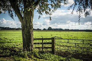 Polderlandschaft im Ablasserwaard von Kees van der Rest