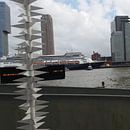 Cruise schip Rotterdam von Karen Boer-Gijsman Miniaturansicht