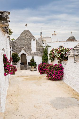 Trullo mit Blumen in Alberobello Apulien Italien