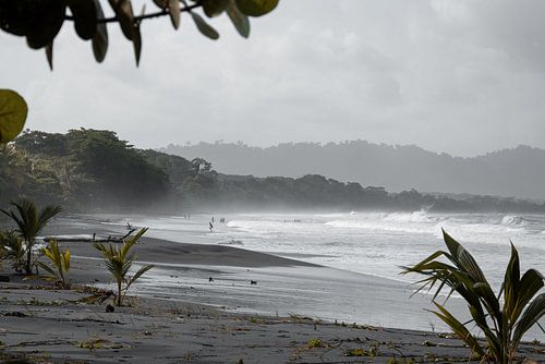 Forêt nuageuse du Costa Rica le long de la plage