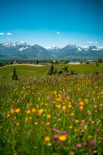 Bloemrijk uitzicht op de hop en de Ostallgäuer Alpen