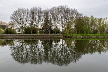 Spring trees reflect in canal by Werner Lerooy
