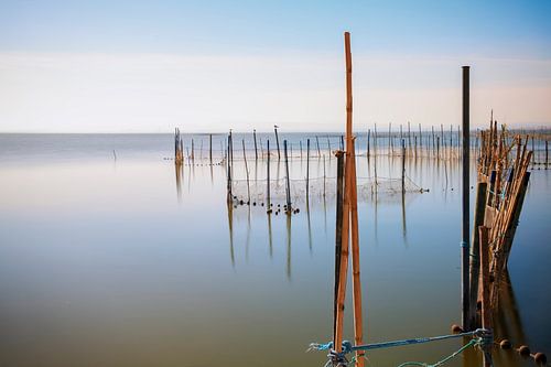 Laguna d' Albufera en Espagne