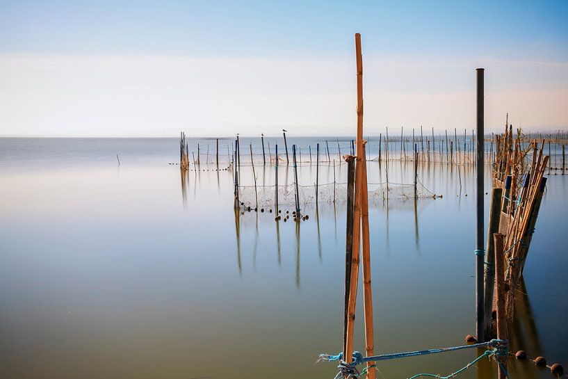 Laguna d' Albufera in Spanje van Truus Nijland