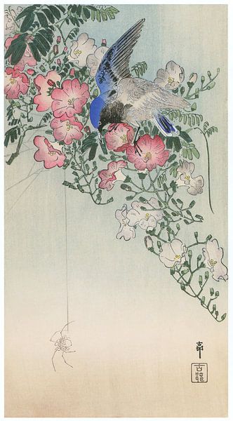 Ohara Koson - Chinesische Trompetenrebe, Sibirisches Blaukehlchen und Spinne (bearbeitet) von Peter Balan