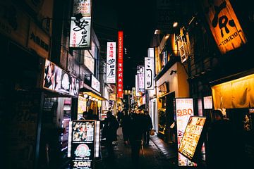 Verborgen Steegjes van Shinjuku: Een Kijkje in het Verborgene van Ken Tempelers