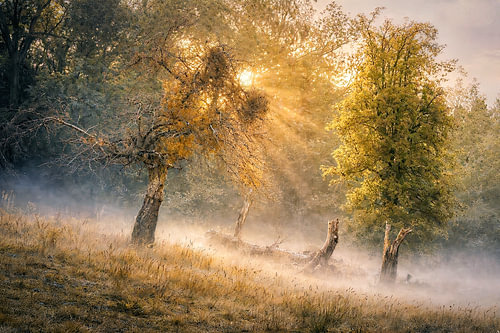 Sunrise @ Slenaken