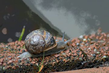 Snail in slow motion (cartoon)