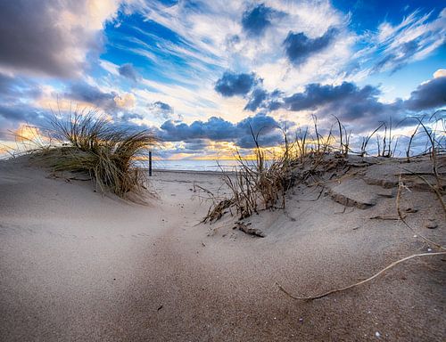 Regardez à travers le coucher de soleil