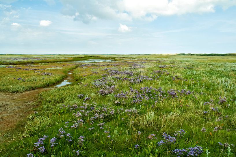 Slufter Texel by Niels Hoogenbosch