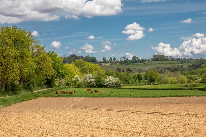 Landschap Zuid- Limburg van Russcher Tekst & Beeld